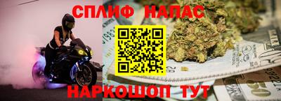 прущие грибы Краснодар