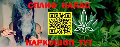 прущие грибы Краснодар
