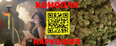 прущие грибы Краснодар