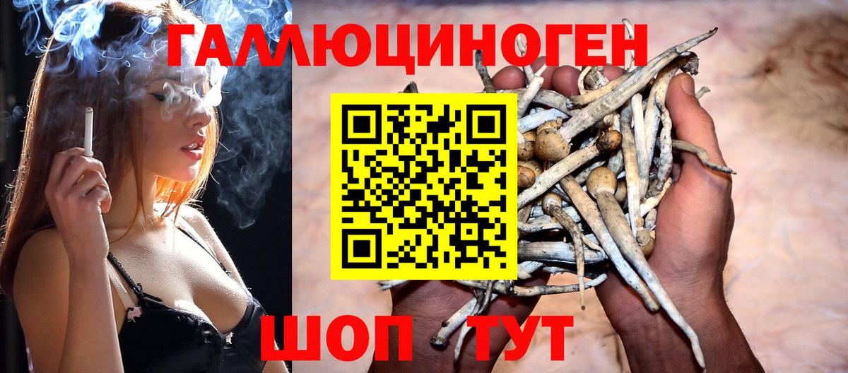 Псилоцибиновые грибы мухоморы Ишим