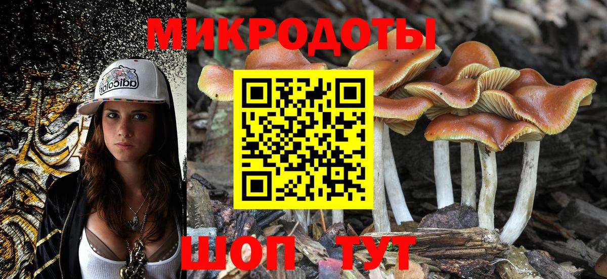 Псилоцибиновые грибы GOLDEN TEACHER  Вход с VPN  Ишим  Псилоцибиновые грибы Magic Shrooms 